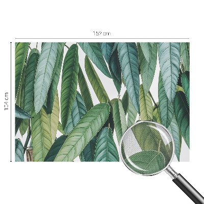 Fotomurale per cameretta Foglie naturali