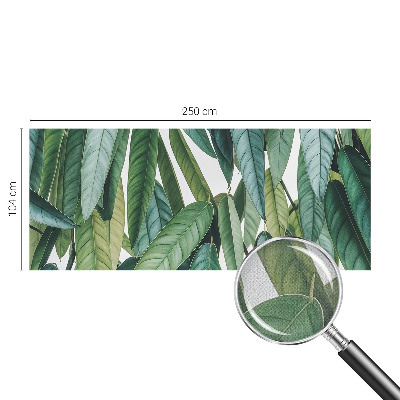 Fotomurale per cameretta Foglie naturali