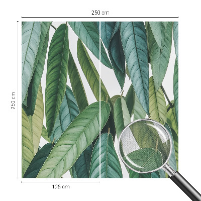 Fotomurale per cameretta Foglie naturali