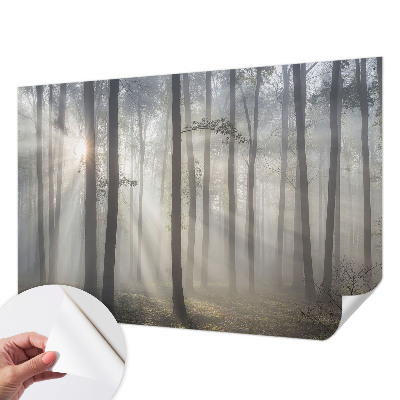 Carta da parati per cameretta Foresta Eterea