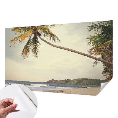 Fotomurale effetto 3D Paesaggio tropicale