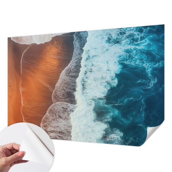 Fotomurale effetto 3D simbiosi marina