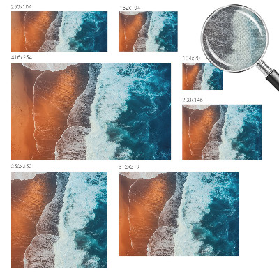 Fotomurale effetto 3D simbiosi marina