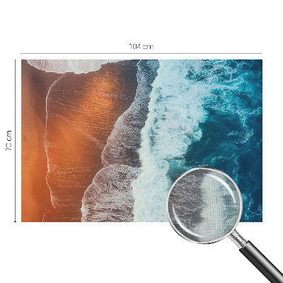 Fotomurale effetto 3D simbiosi marina