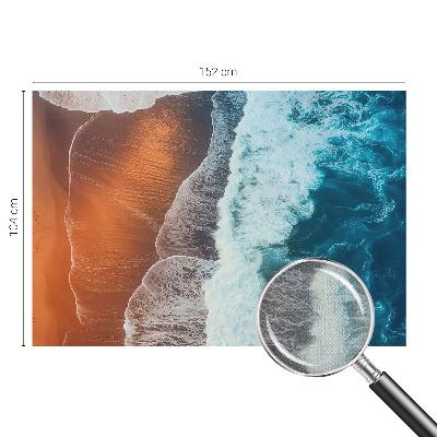 Fotomurale effetto 3D simbiosi marina