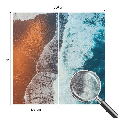 Fotomurale effetto 3D simbiosi marina