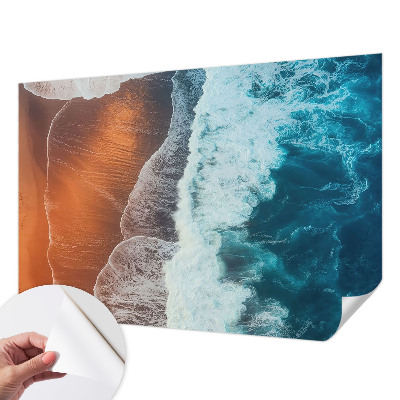 Fotomurale effetto 3D simbiosi marina