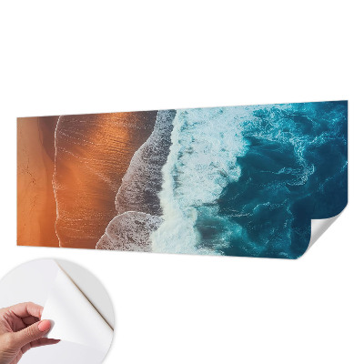 Fotomurale effetto 3D simbiosi marina