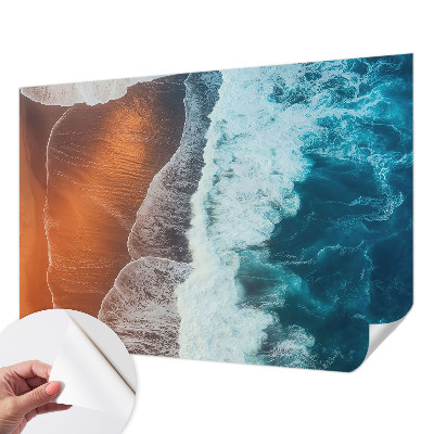 Fotomurale effetto 3D simbiosi marina