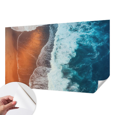 Fotomurale effetto 3D simbiosi marina