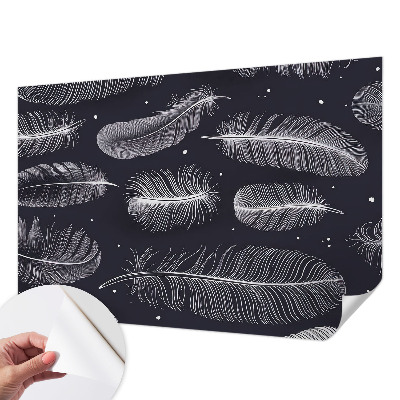 Carta da parati 3D Piume delicate