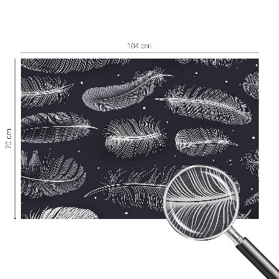 Carta da parati 3D Piume delicate