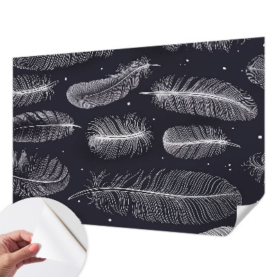 Carta da parati 3D Piume delicate