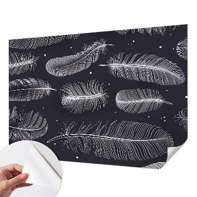 Carta da parati 3D Piume delicate