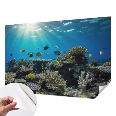 Fotomurale effetto 3D Mondo sottomarino