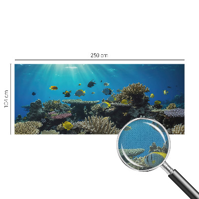 Fotomurale effetto 3D Mondo sottomarino