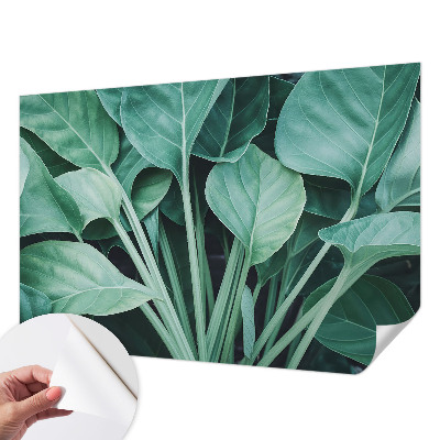 Carta da parati cameretta Natura verde