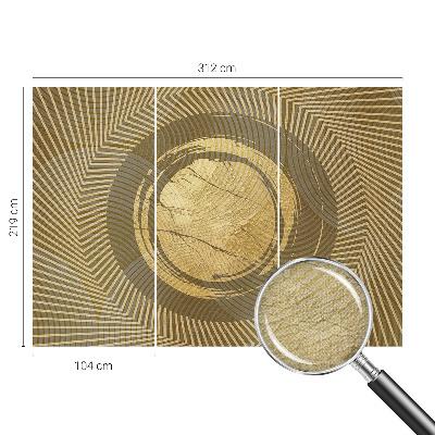 Carta da parati panoramica effetto 3D Linee radianti