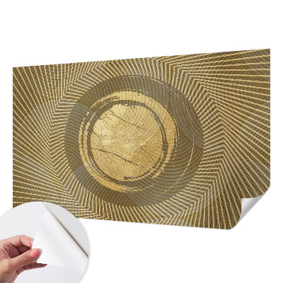 Carta da parati panoramica effetto 3D Linee radianti