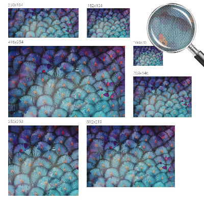 Carta da parati 3D Piume colorate