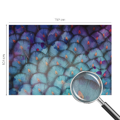 Carta da parati 3D Piume colorate