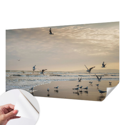 Carta da parati cameretta Tranquillità sul mare