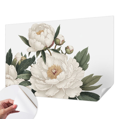 Carta da parati panoramica effetto 3D Peonie bianche