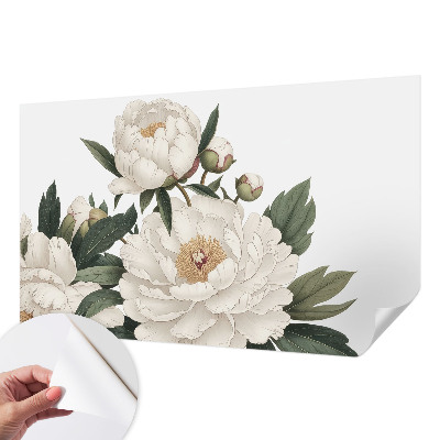 Carta da parati panoramica effetto 3D Peonie bianche