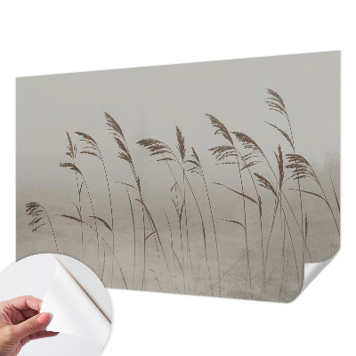 Carta da parati adesiva Erba nella nebbia