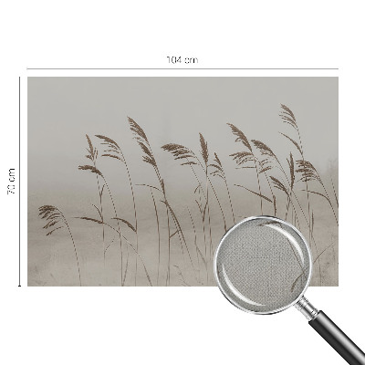 Carta da parati adesiva Erba nella nebbia