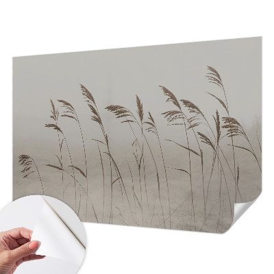 Carta da parati adesiva Erba nella nebbia