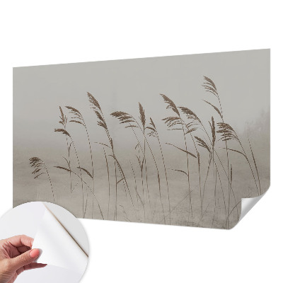 Carta da parati adesiva Erba nella nebbia