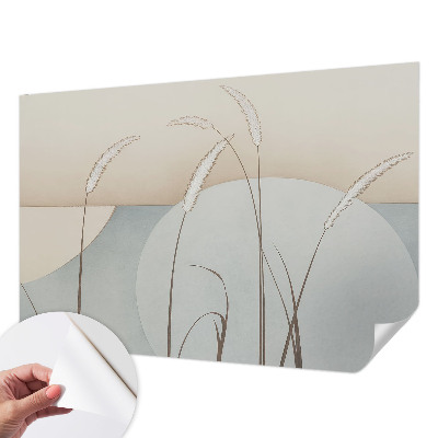 Fotomurale effetto 3D Erbe delicate