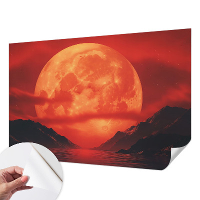 Fotomurale per bambini Fenomeno notturno