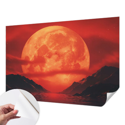 Fotomurale per bambini Fenomeno notturno