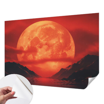 Fotomurale per bambini Fenomeno notturno