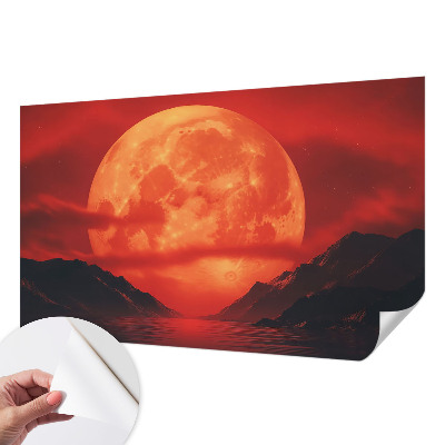 Fotomurale per bambini Fenomeno notturno