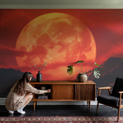 Fotomurale per bambini Fenomeno notturno