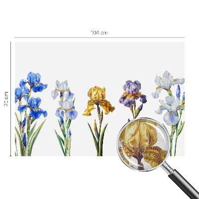 Fotomurale 3D Fiori di iris
