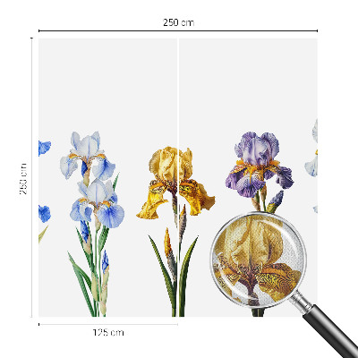 Fotomurale 3D Fiori di iris
