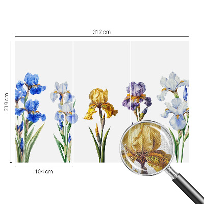 Fotomurale 3D Fiori di iris