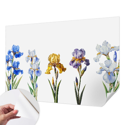 Fotomurale 3D Fiori di iris