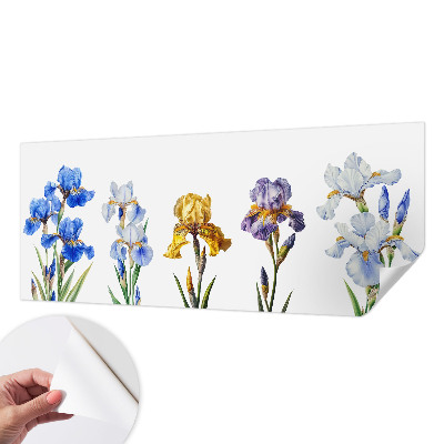 Fotomurale 3D Fiori di iris