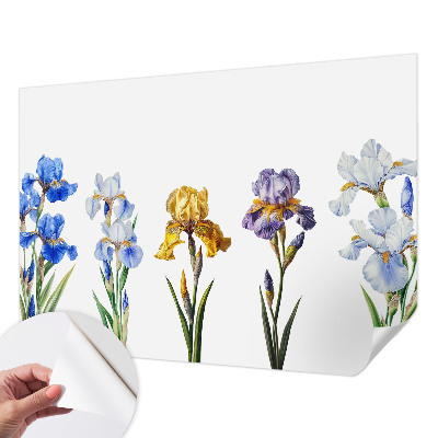 Fotomurale 3D Fiori di iris