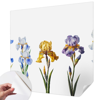 Fotomurale 3D Fiori di iris