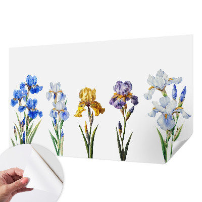 Fotomurale 3D Fiori di iris