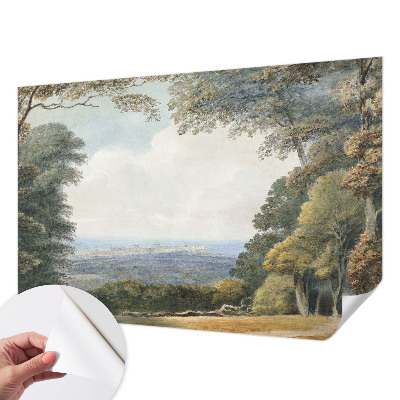 Carta da parati adesiva Paesaggio boschivo