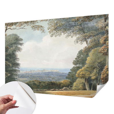 Carta da parati adesiva Paesaggio boschivo