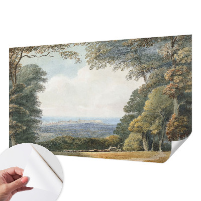 Carta da parati adesiva Paesaggio boschivo