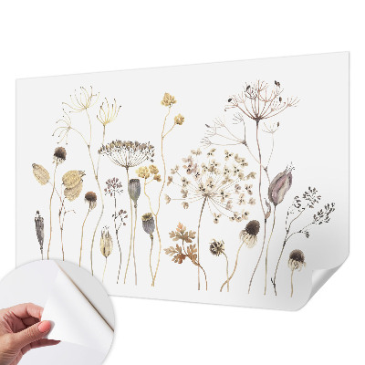 Carta da parati adesiva Fiori selvatici